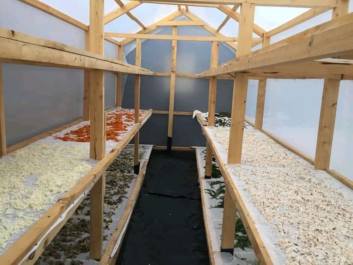 Kiambu solar driers give farmers Sh10k extra on crops from value addition