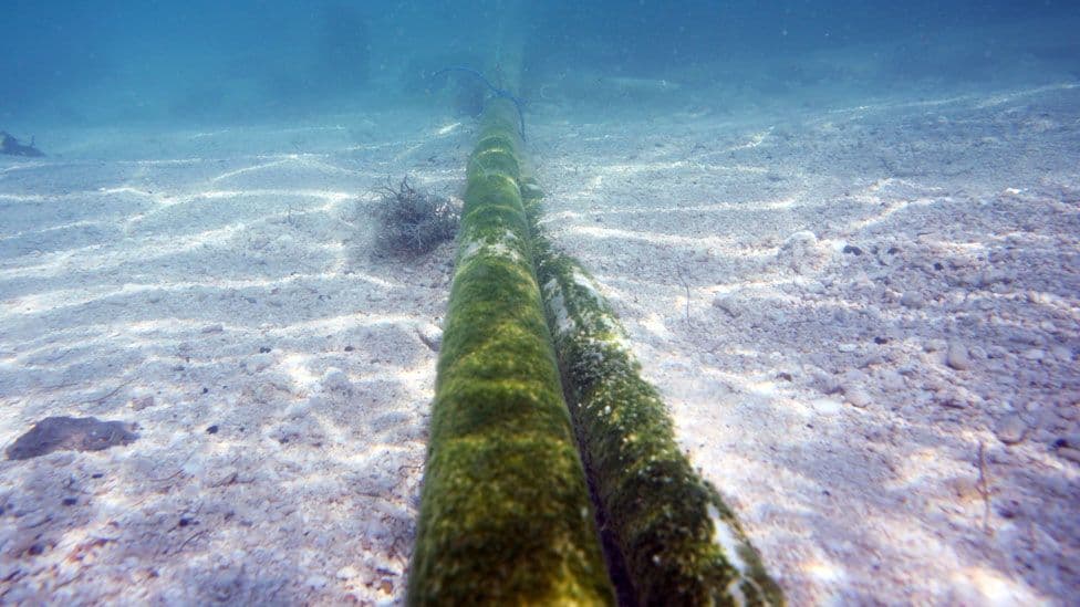 Telkom Kenya Supplements its Investment Spree in Undersea Cables in New PEACE Deal