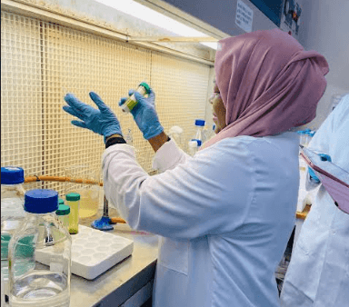 TUM Scientists develop nature-based solution to treat wastewater