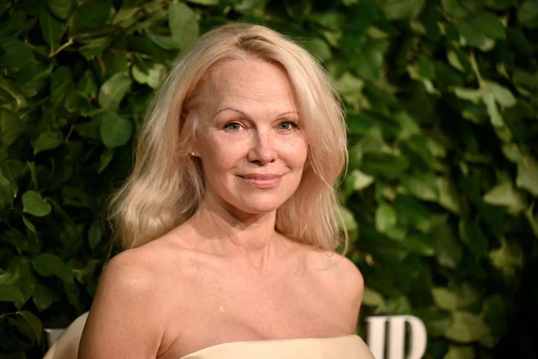 Pamela Anderson Net Worth