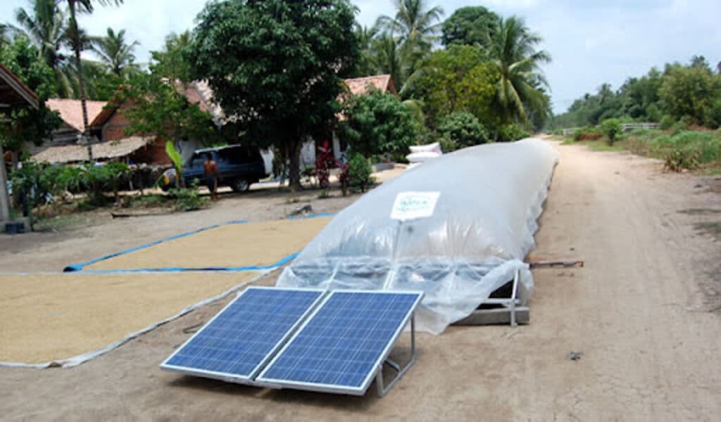 Solar bubble dryers slash 36 per cent post-harvest losses
