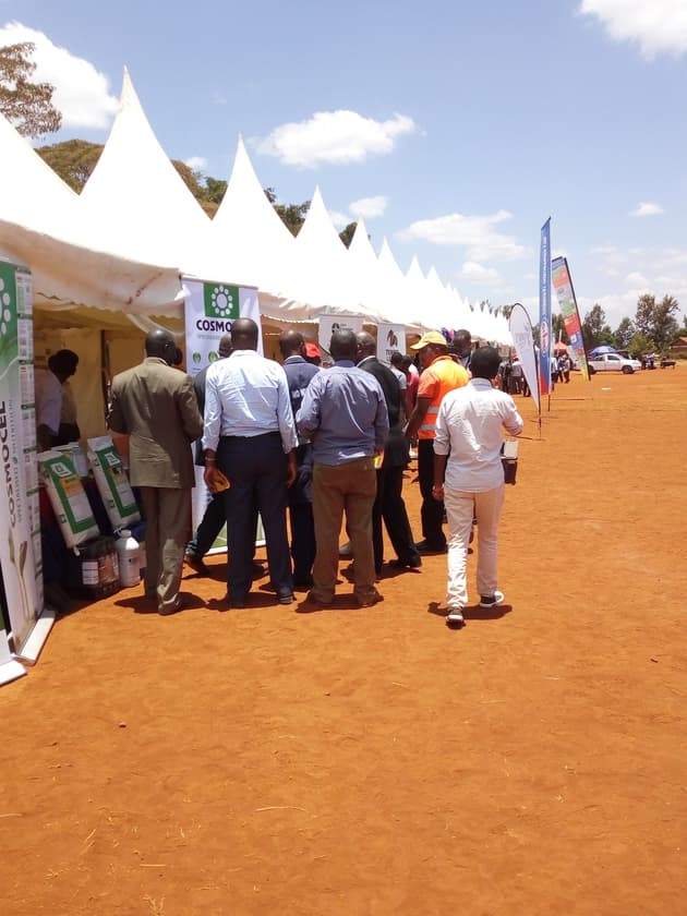 Avocado society mobilising for increased production as more markets expected