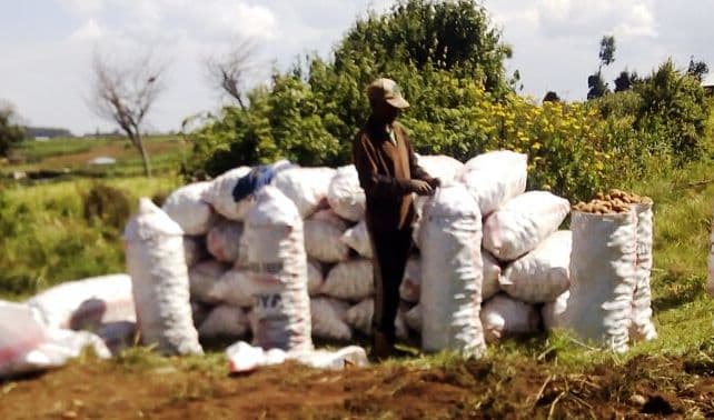 Ex-Egerton University students turning farming to jobs