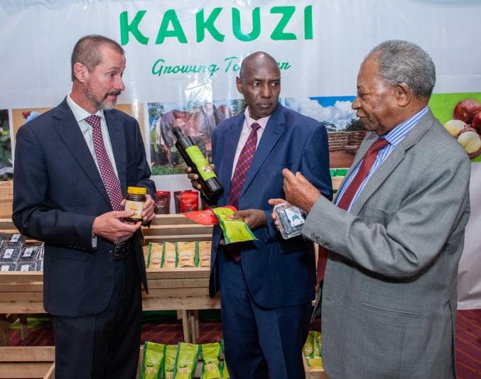 Avocadoes drive Kakuzi’s Shs171M half-year profit despite slump in macadamia market