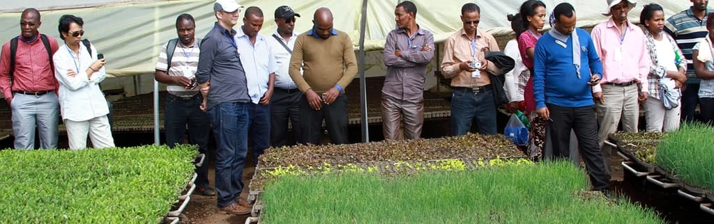 African agribusiness stakeholders to meet in continental conference