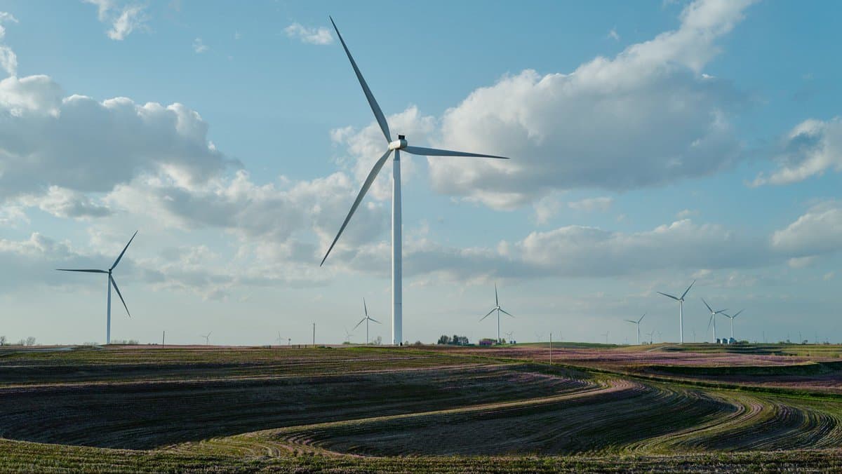 165 Onshore Wind Farm Projects in U.S. Clamped Down as Pentagon Cites National Security Concerns
