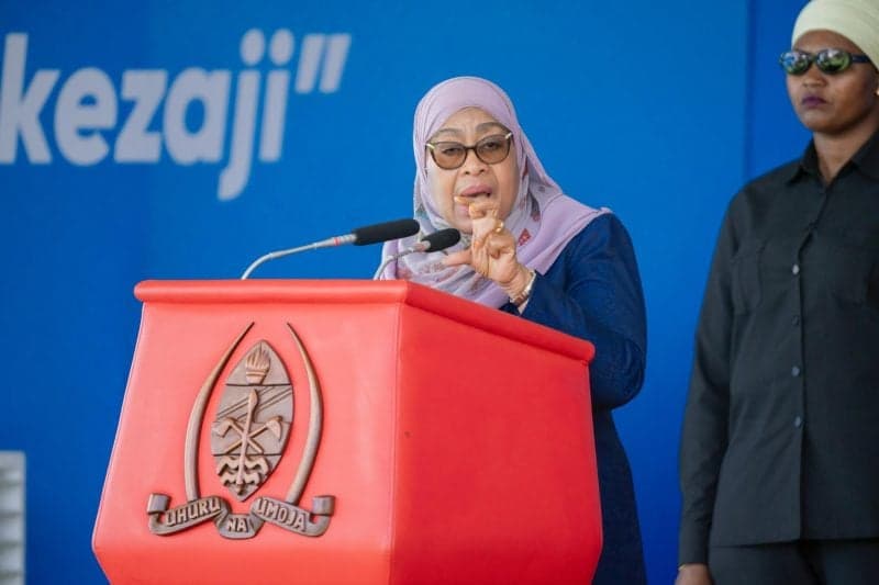 Tanzania ruling CCM expels VP Nchimbi, Energy Minister to take his place