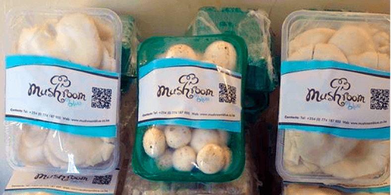 Startup making pizza from mushroom looking for farmers to grow the fungus