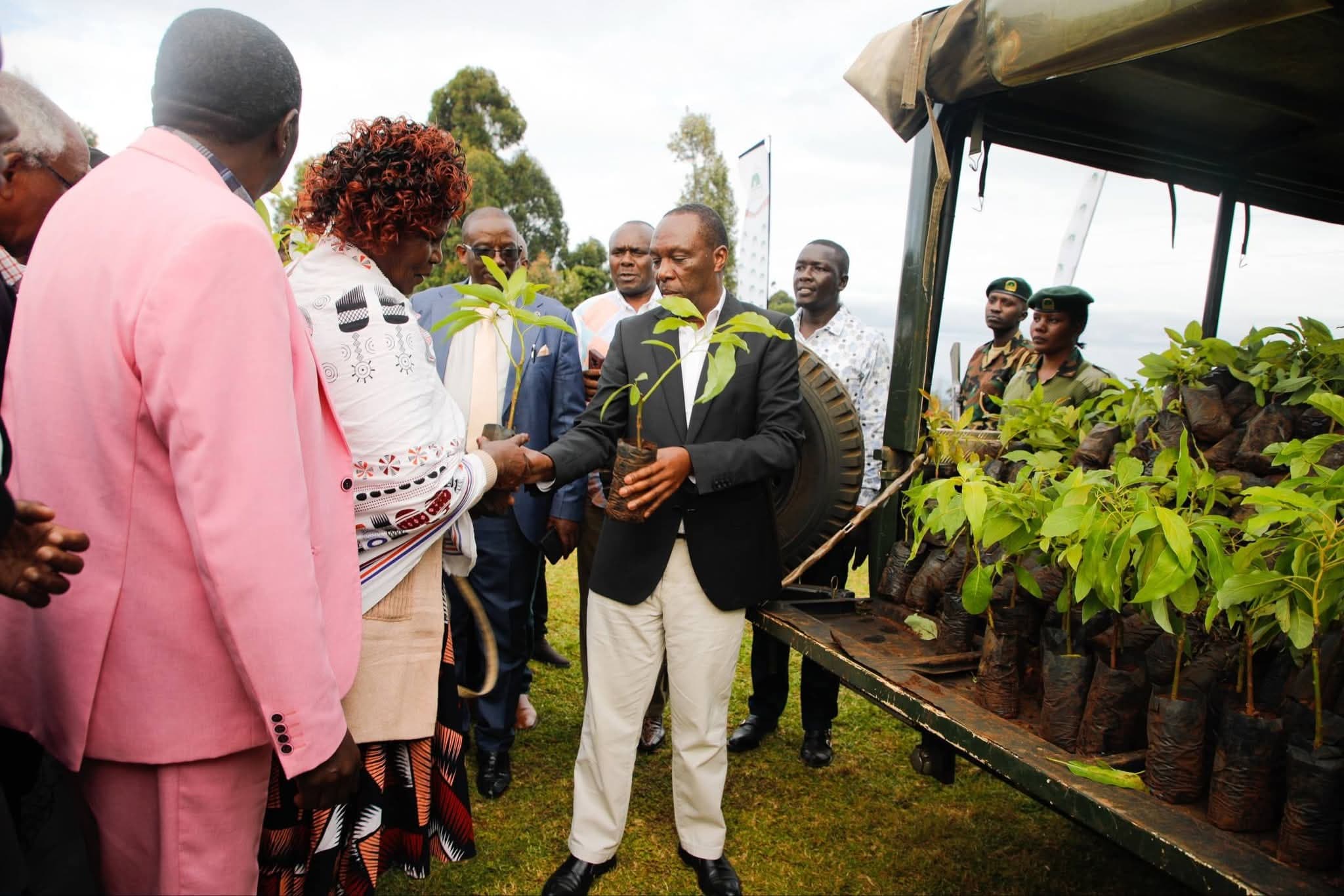 PS Mugambi launches one million avocado tree campaign in Nkuene
