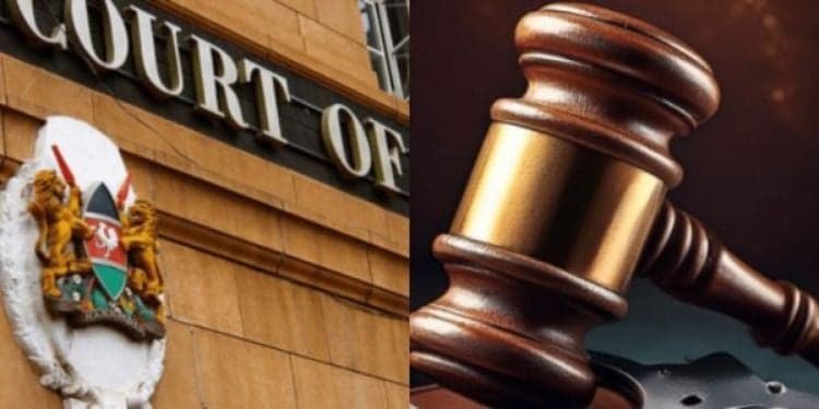 Supreme Court Sets Out Rules for Local Tribunals and Parliament