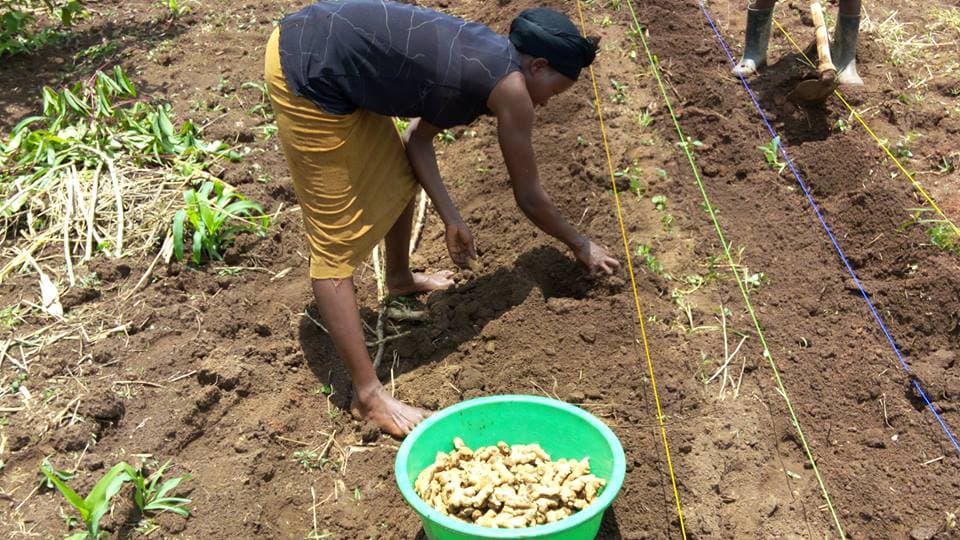 One Acre Fund lends Elgeyo Marakwet farmers inputs in deal with county