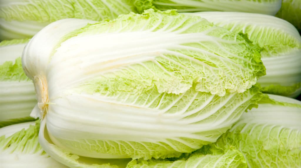 Farmer soars with Chinese cabbage