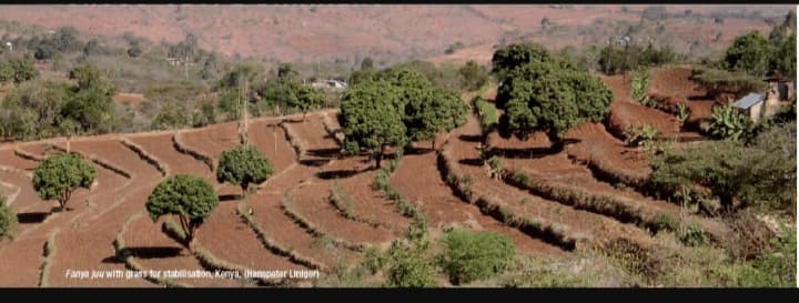 Marekebisho ya Haraka: Wakulima hutoa mazao maradufu na mitaro ya kuokoa udongo