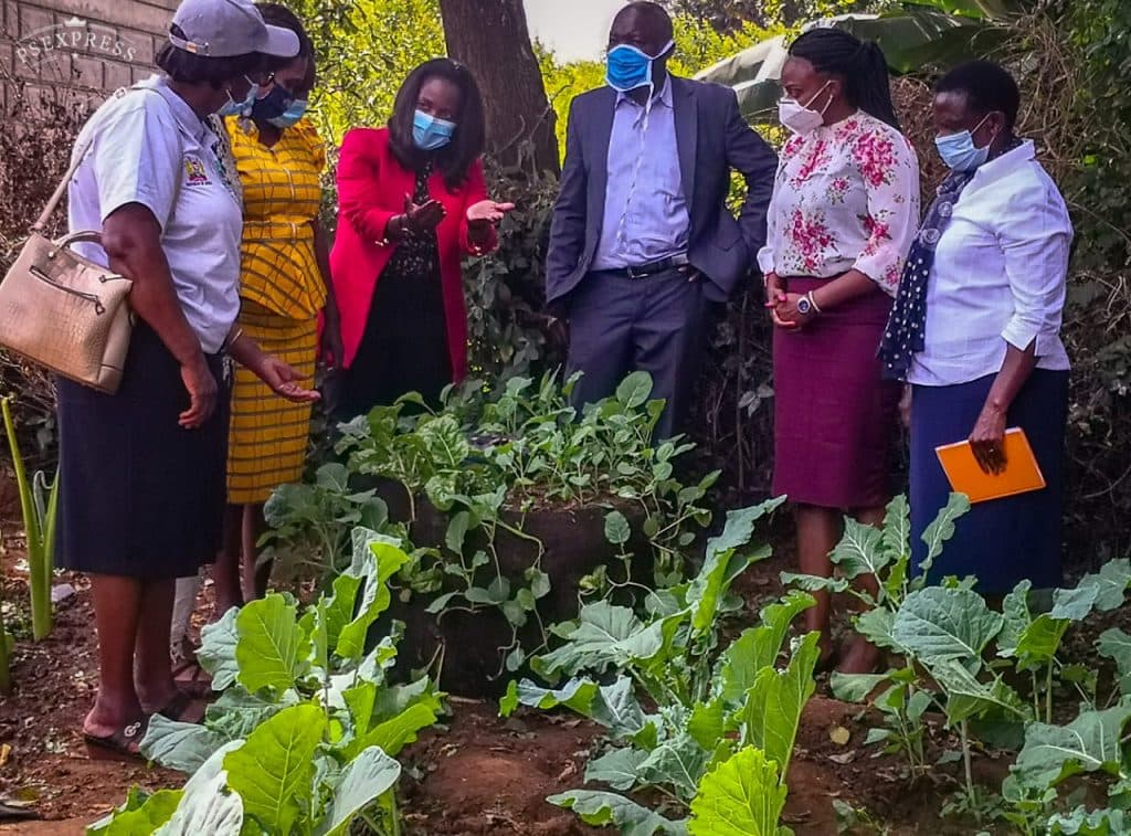 Ministry of Agriculture gives kitchen garden kits to a million households to create food security