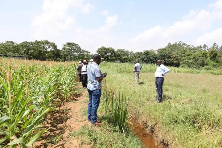 Vihiga aquaculture project to boost livelihoods