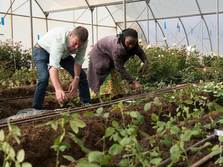 Rose Flower Water Production Blossoms Into a Deep-Rooted Partnership