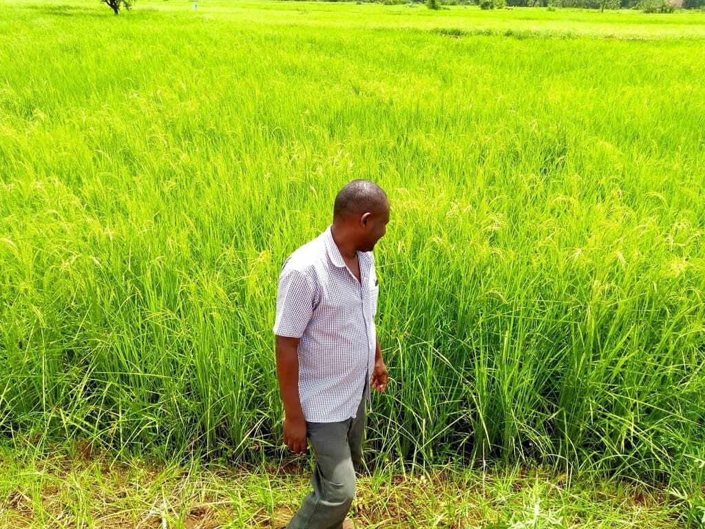 Door opens for food-insecure Garissa to be Kenya’s leading rice producer