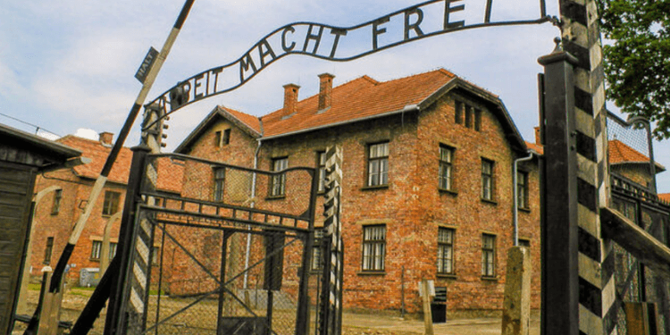 About Half of Young Americans Can’t Name a Single Holocaust Site, Repeating a Pattern of Ignorance Seen in Postwar Germany