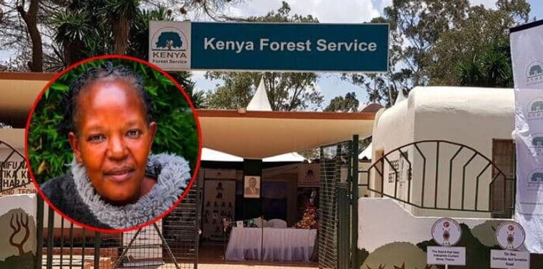 KFS Manager Esther Keige’s Cause of Death Remains Undetermined