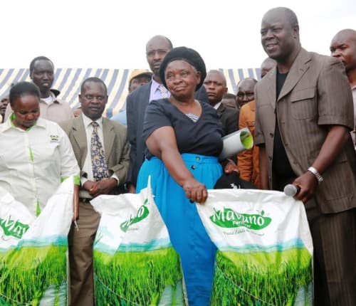 Online advertiser, OLX, opens retails for farmers