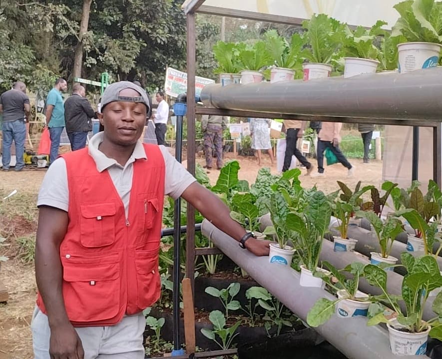 Fishpond company doubles profits using fish water to grow salads
