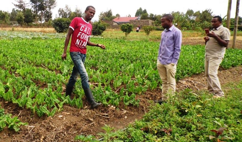 Farmpro youths offer farmers production and marketing solutions