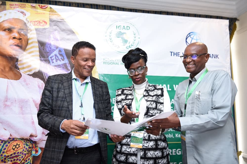IGAD member states and partners develop regional roadmap and action plan for sustainable development