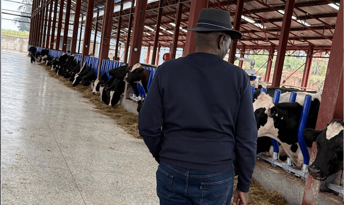 Inside President Ruto’s multimillion modern farming business