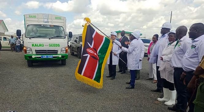 New certified seed facility set to boost rice production in Mwea