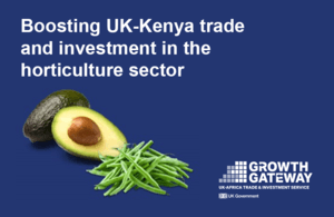 UK gov identifies 3 high-potential products for Kenyan agri exporters