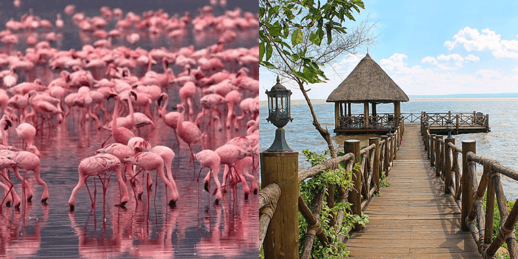 Top 10 Kenyan Road Trip Destinations to Visit in 2026