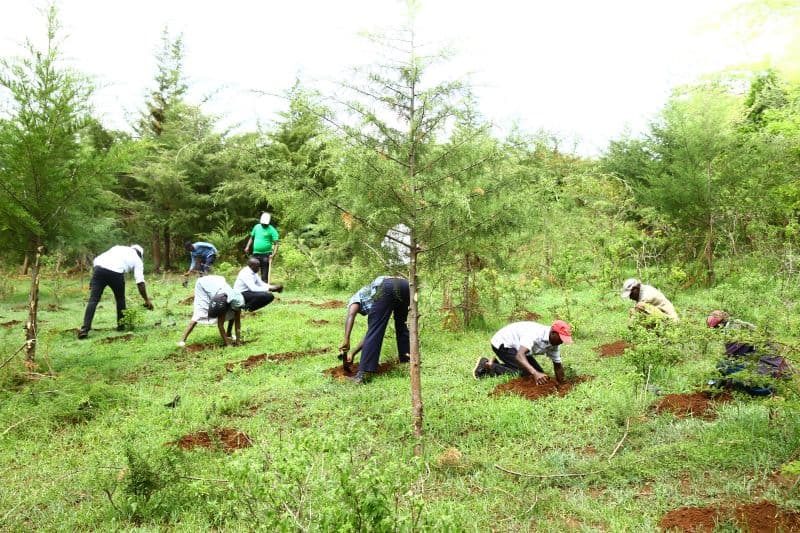 Info: The October 10th Holiday in Kenya