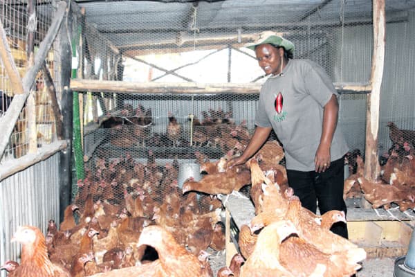 This is how I make Sh. 650,000 per month from farming