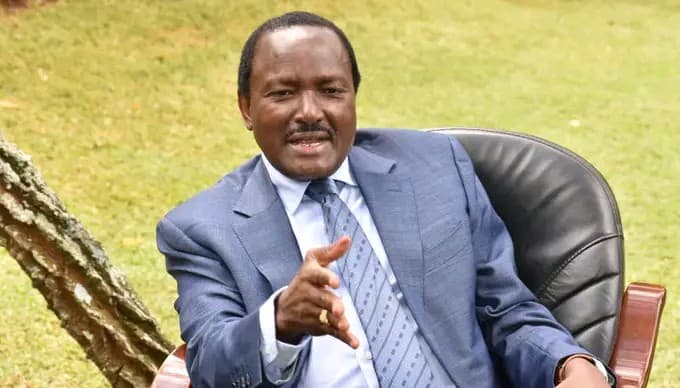 How educated is Kalonzo Musyoka? See his life and education profile