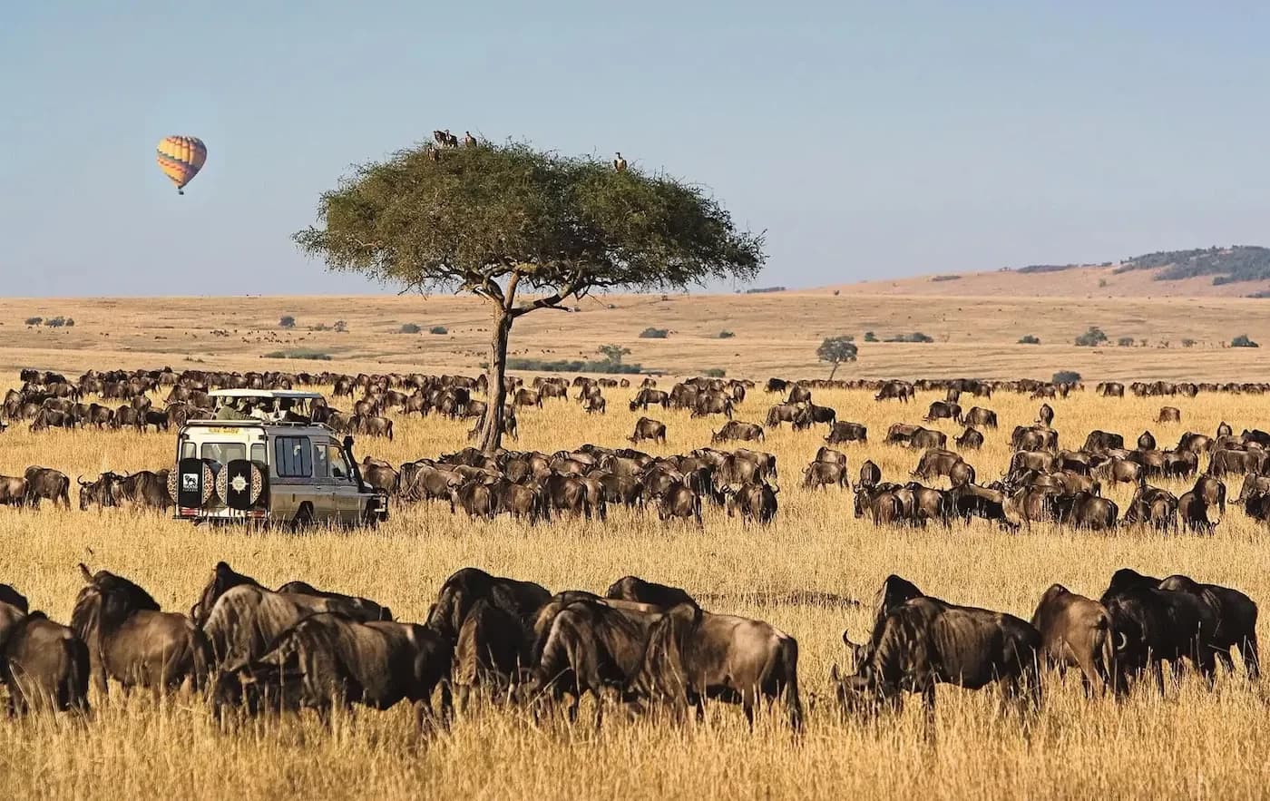 Tanzania to Introduce Cable Transport to Spur Tourism