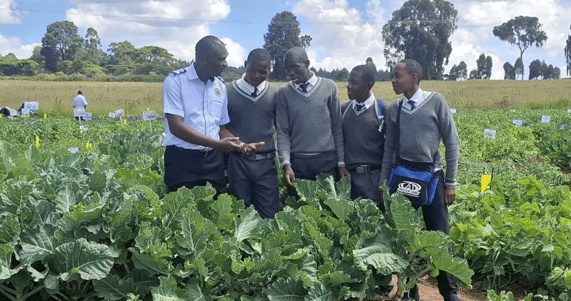 Government seeks more partners to expand 4K clubs programme