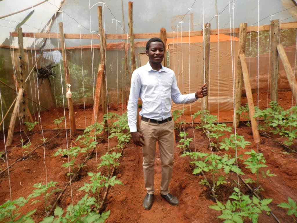 Funguses helping farmers fight soil borne diseases