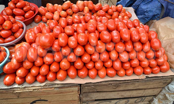 Tomato trickling into the market eases price