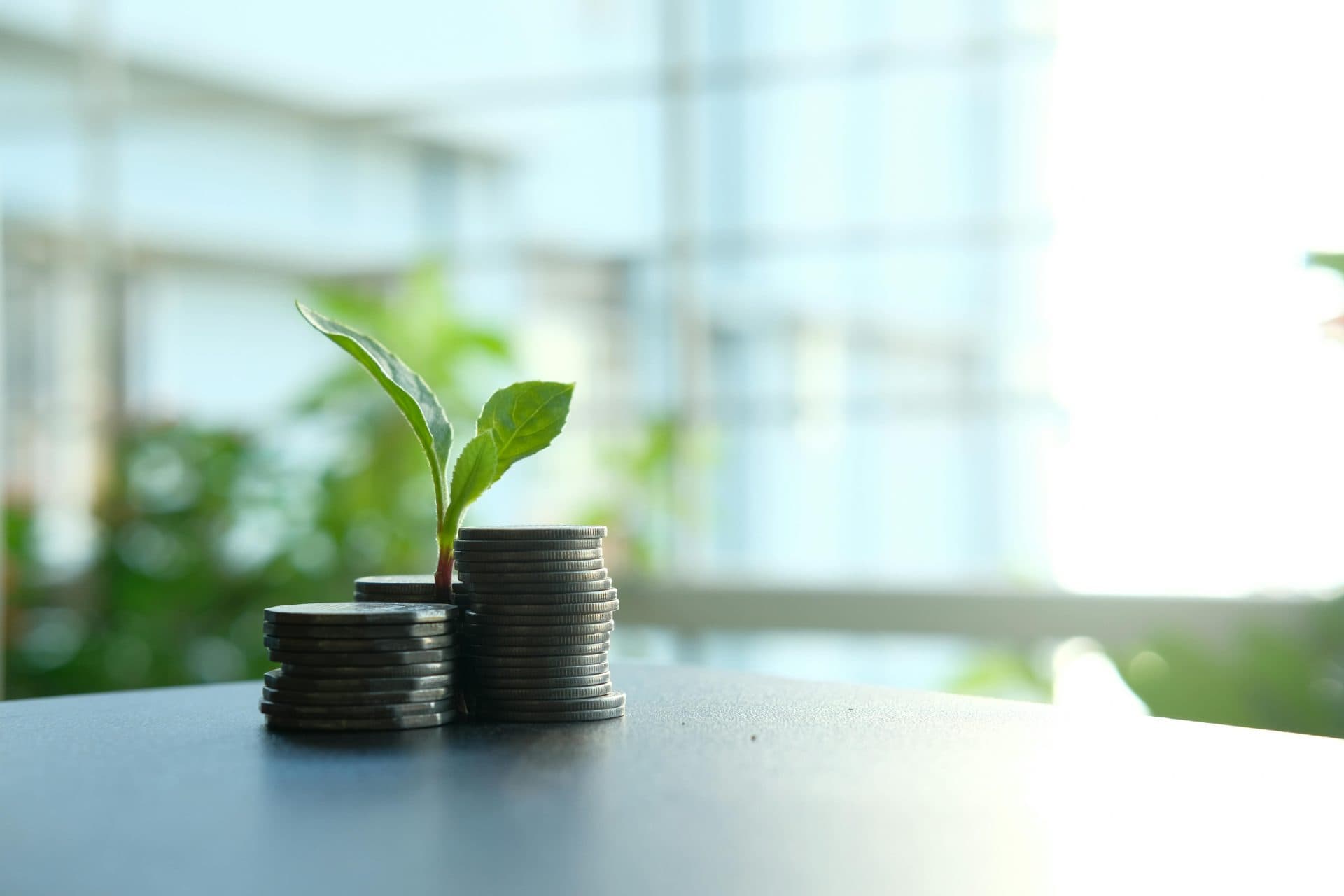 How Collective Investment Schemes are transforming community wealth