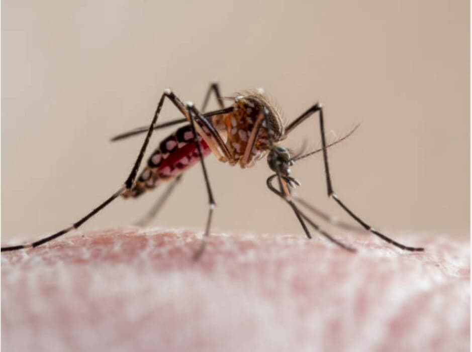 Childhood malaria cases in Kilifi fall sharply over 35 years