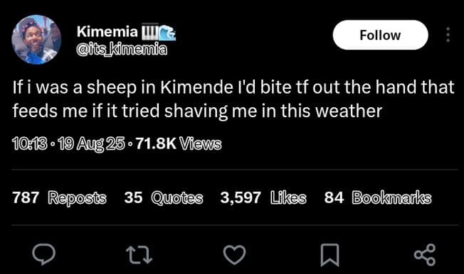 Kenyan Twitter’s Hilarious Tweets on X to Beat the Monday Blues