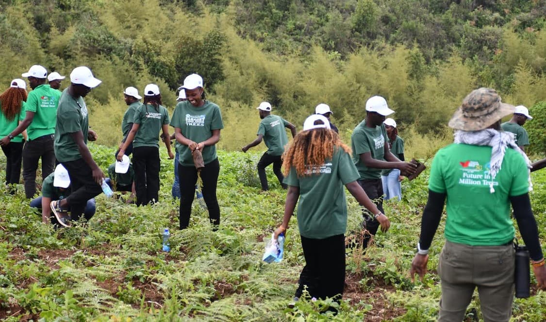 Residents call for Shamba system to enhance forest conservation