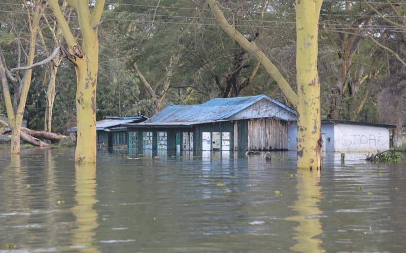 Humanitarian crisis as Lake Naivasha rising waters displace more families