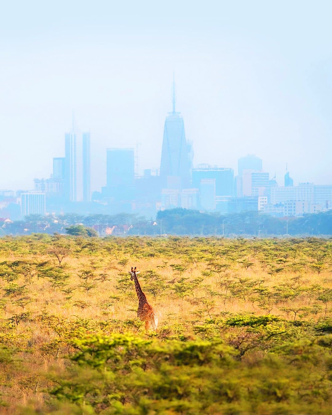 How a Marketer Built Zuri Travels from the Ground Up