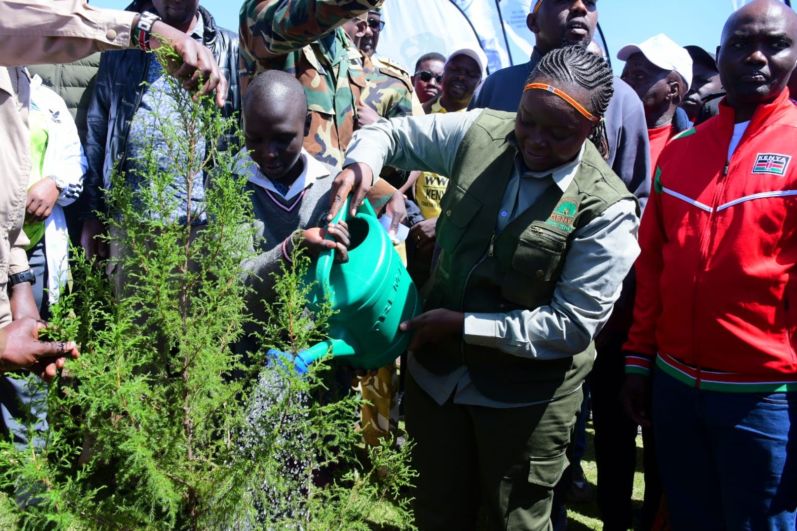 22,000 trees planted during inaugural conservation race