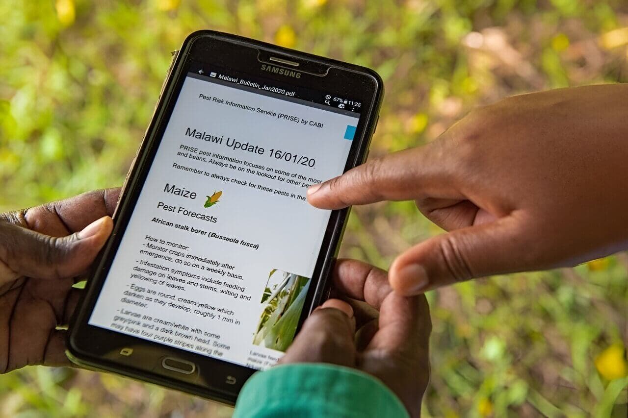 Farmers reduce crop loss, raise incomes, through early warning SMS alerts