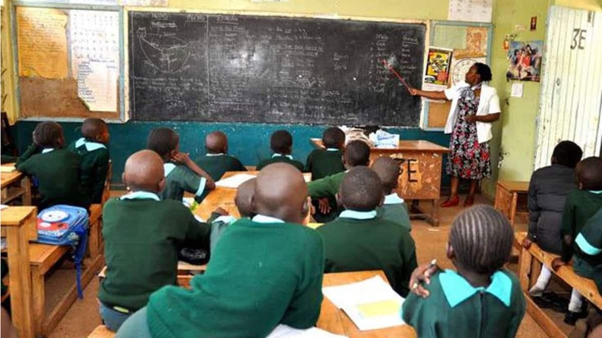 Grace Akinyi: Why CBC system is bad for Kenyan children