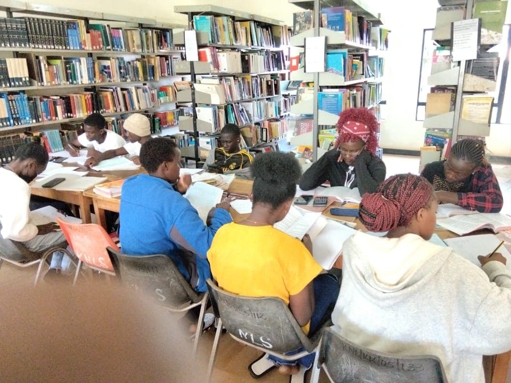 Libraries witness increased use as learners prepare for examinations