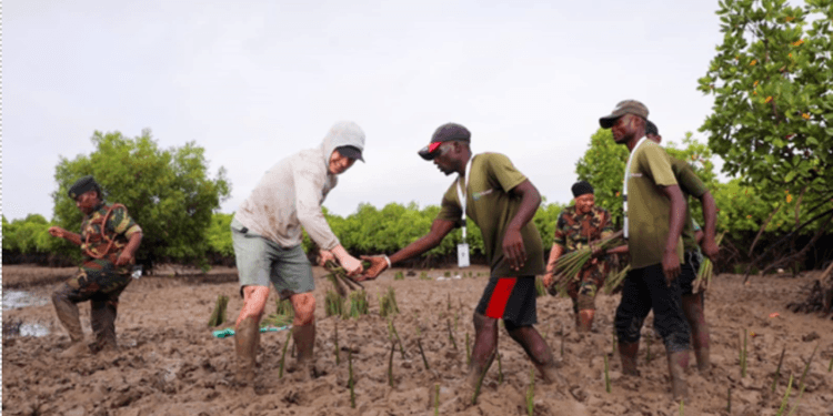 40K Mangroves Challenge Gift to Earth, the Soul of Tourism