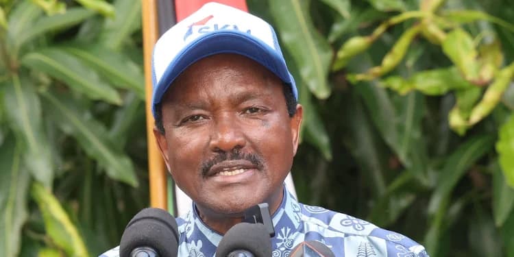 Kalonzo’s Party Sets Fees for Governor, MP and MCA Aspirants Ahead of 2027 Polls
